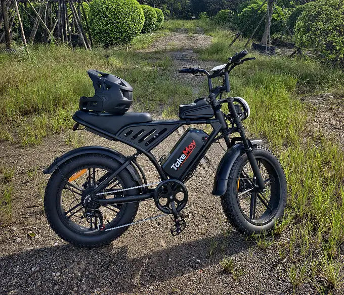Long Range Electric Bike: Best Picks for Adults 2026