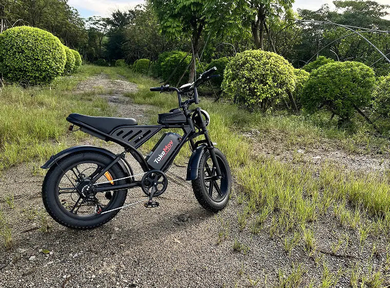 Best Moped Style eBikes for Heavy Riders (2026 Guide)