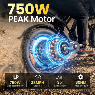 TakeMov Electric Bike for Adults, 750W Motor, 48V 50Ah Dual Battery E Mountain Ebike, 20" x 4" Fat Tire Off-Road Ebike, Full Suspension, Class 3, UL2849