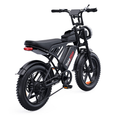 TakeMov G35 High-Performance Electric Bike(15Ah - 50Ah Options)