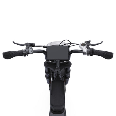 TakeMov G35 High-Performance Electric Bike(15Ah - 50Ah Options)